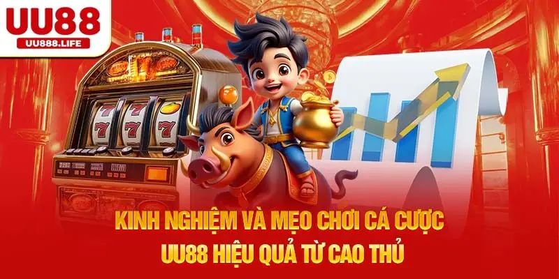 Kinh nghiệm và mẹo chơi cá cược UU88 hiệu quả từ cao thủ